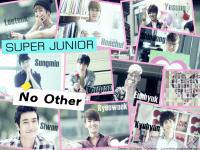 NO OTHER :: SUJU