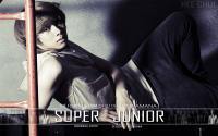 Super Junior "No Other" Hee Chul
