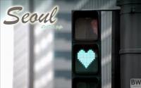 SNSD SuJU Seoul MV Love Traffic Lamp