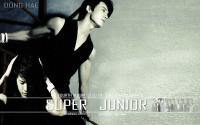 Super Junior "No Other " Donghae