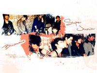 Super Junior Wallpaper 1