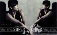 Super Junior "No Other" RyeoWook