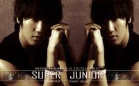 Super Junior "No Other" Yesung