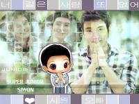 Siwon_No other