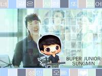 Super Junior _ Sungmin