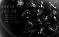 Super Junior "Don't Don"