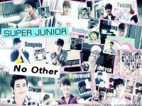 No Other :: Super Junior Ver.2