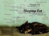 Sleeping Cat