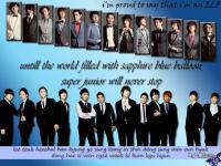 super junior+ elf