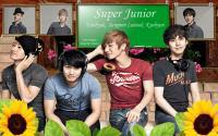 Super Junior in SPAO