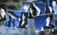 Super Junior SS3 :: Donghae