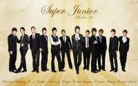 Super  Junior : Member  13