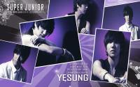 Super Junior SS3 :: Yesung