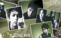 Super Junior SS3 :: Sungmin