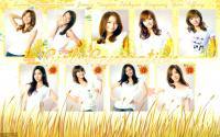 Girls Generation : Sm Town