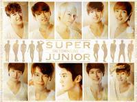 Super Junior SM Town 2010