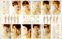 Super Junior SM Town 2010 [w]