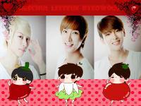 super junior_heechul leeteuk ryeowook