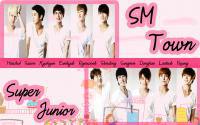 Super Junior : sm town