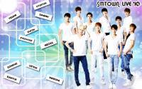 Super Junior in "SMTOWN 2010"