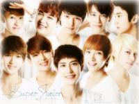 super junior