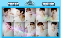 super junior:smtown live'10