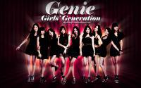 SNSD Genie Japanese Ver 4 [Widesreen]