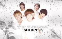 shinee 