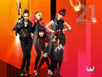 2ne1 1st Album