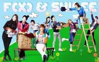 f(x)&shinee