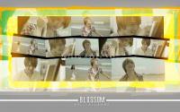 Blossom : Jejung happy ver.