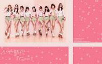 SNSD Gee Japanese Ver. With Flower