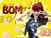 This is Park Bom