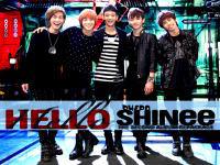 hello shinee