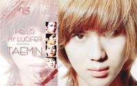 Hello My Lucifer : Taemin