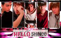 hello shinee