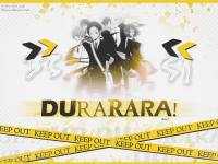 Durarara! black & yellow .