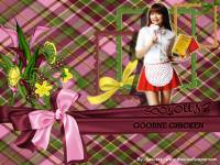 Sooyoung Goobne Chicken