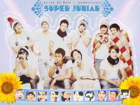 Super Junior : Kyochon 2011