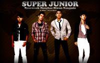 Super Junior [Widescreen]