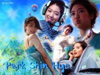 Park Shin Hye