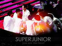 ' SUPERJUNIOR l you are the best 