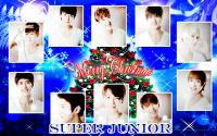 Super junior : Merry christmas