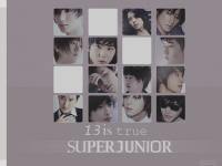 SUPERJUNIOR l 13.