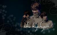 Cho Kyuhyun with shades