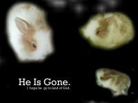 he's gone