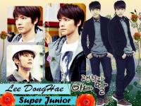 Lee DongHae