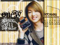 shinee wallpaper 2011 (Onew)