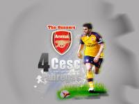 Cesc Fabregas .. Arsenal the gunners!