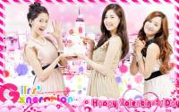 SNSD - Happy Valentine's Day [Widescreen]